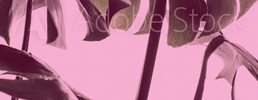 Social Banner