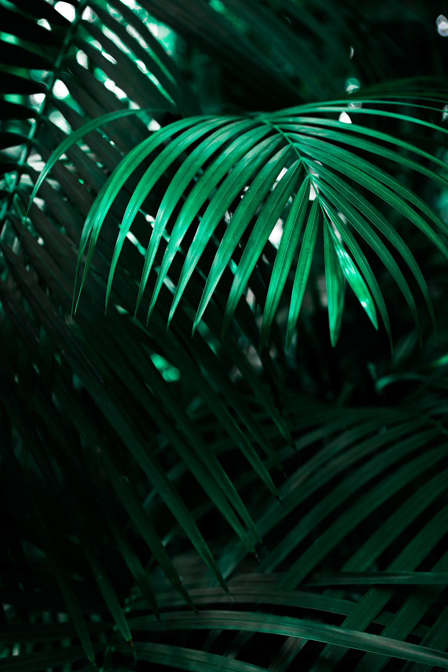 Contact Banner